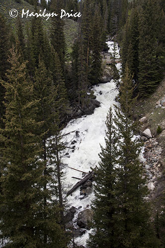 Lake Creek Falls, Beartooth Pass Byway, MT