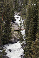 Lake Creek Falls, Beartooth Pass Byway, MT