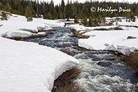 A stream cuts a path through the snow near the Top of the World, Beartooth Pass Byway, MT