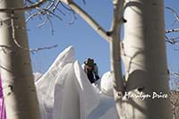 Working on In Chorus, Budweiser International Snow Sculpture Championships, Breckenridge, CO