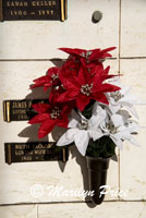 Christmas bouquet, Pierce Brothers Westwood Cemetery, Los Angeles, CA