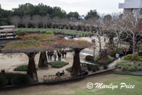 Overlooking one of the gardens, Getty Center, Los Angeles, CA