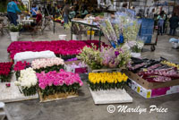 Roses ready for the floats, Float construction barn, Los Angeles, CA