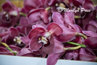 Orchids ready for the float, Float construction barn, Los Angeles, CA