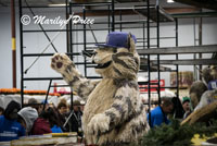 Shaggy cat on Wescom float, Float construction barn, Los Angeles, CA