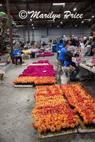 Roses ready for the float, Float construction barn, Los Angeles, CA