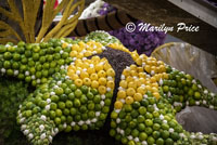 Lemons, limes, onions, and brussel sprouts make a starfish, Float construction barn, Los Angeles, CA