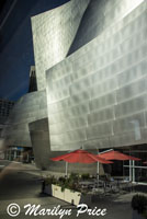 Walt Disney Concert Hall, Los Angeles, CA