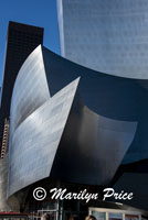 Walt Disney Concert Hall, Los Angeles, CA