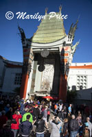 Graumann Chinese Theater, Los Angeles, CA