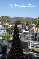 The Hollywood sign from near the Dolby Theater, Los Angeles, CA