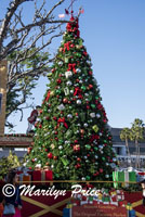 Christmas tree in the Plaza of the Farmer's Market, Los Angeles, CA