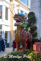 Dragon, The Grove, Los Angeles, CA