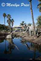 La Brea Tar Pits, Los Angeles, CA