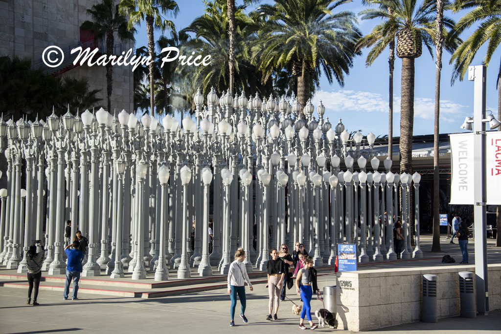 Display of old lamp posts, Los Angeles, CA