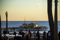 Last sunset of the year, Palasades Park, Santa Monica, CA