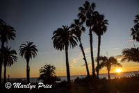 Last sunset of the year, Palasades Park, Santa Monica, CA