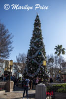 Christmas tree, Disney California Adventure Park, Anaheim, CA