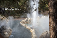 Geyser, Grizzly River Run, Grizzly Peak, Disney California Adventure Park, Anaheim, CA