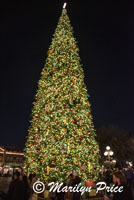 Christmas tree at night, Disneyland Park, Anaheim, CA