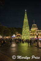 Christmas tree at night, Disneyland Park, Anaheim, CA