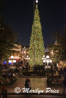 Christmas tree at night, Disneyland Park, Anaheim, CA