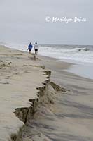 Walking along the beach, Assateague Island, VA