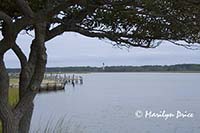 Assateague Light from Chincoteague Island, VA