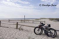 Bicycles on the beach, Assateague Island, VA