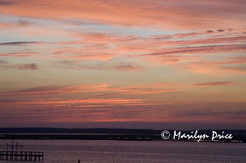 Sunset, Chincoteague Island, VA