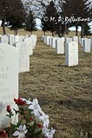 Flowers, National Cemetery, Santa Fe, NM