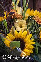 Flowers at the Granville Island Market, Vancouver, BC, Canada