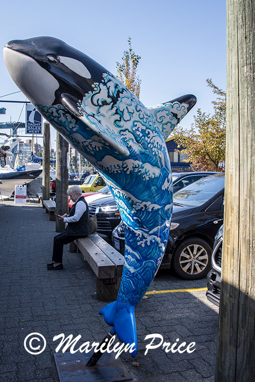 Painted orca, Granville Island, Vancouver, BC, Canada