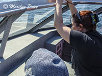 Kelly aboard the whale watching boat, Vancouver, BC, Canada