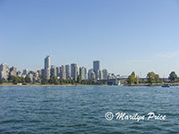 Skyline as the whale watching boat nears shore, Vancouver, BC, Canada