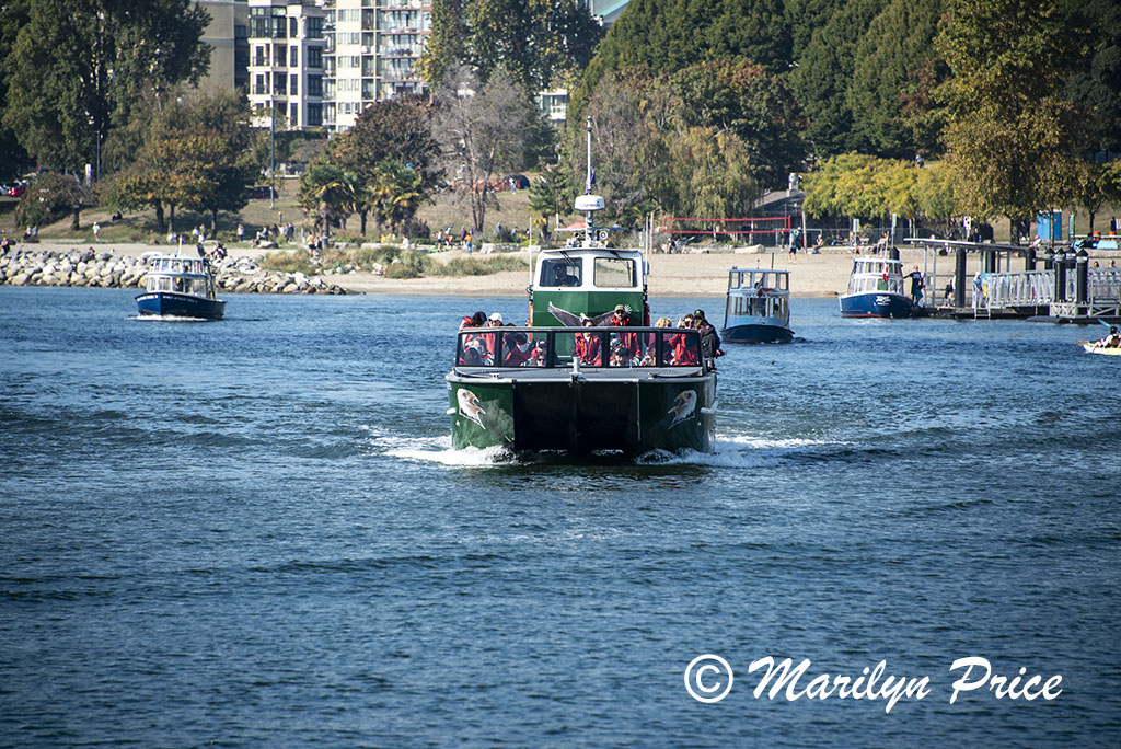 Whale watching boats return to shore, Vancouver, BC, Canada