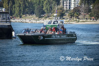 Whale watching boats return to shore, Vancouver, BC, Canada