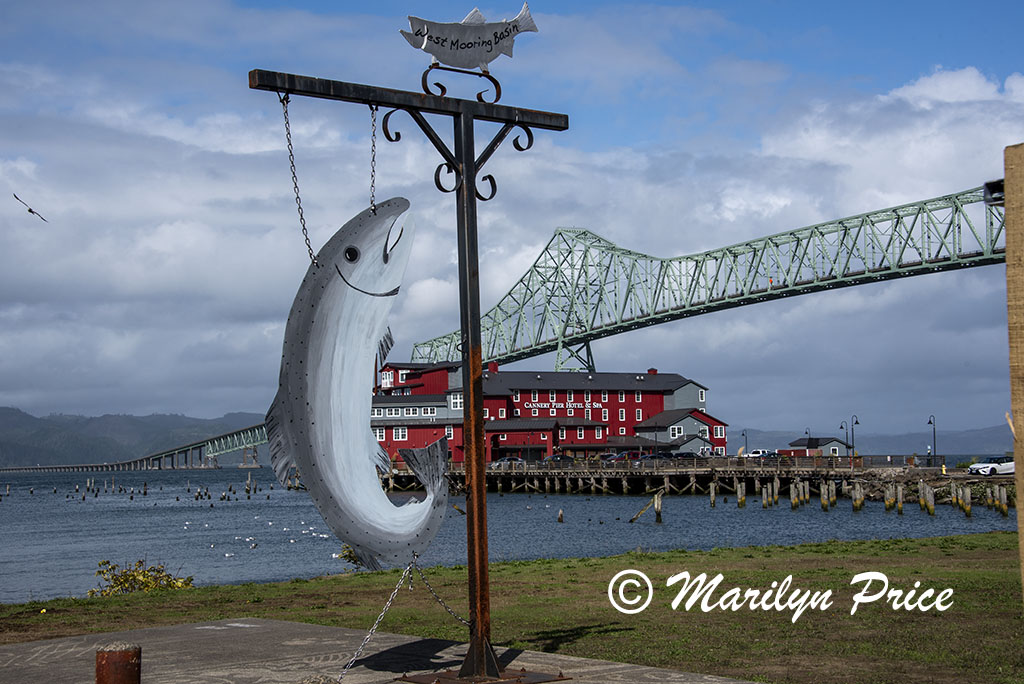 Cannery Hotel and fish decorations, Astoria, OR