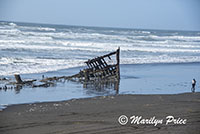 Wreck of the Peter Iredale, Ft. Stevens State Park, OR