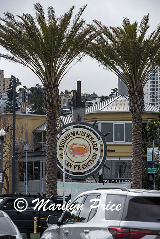 Fisherman's Wharf, San Francisco, CA