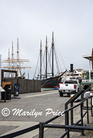 Tall ships, San Francisco Maritime National Historical Park, San Francisco, CA