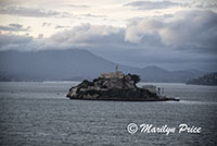 Passing Alcatraz Island, San Francisco, CA