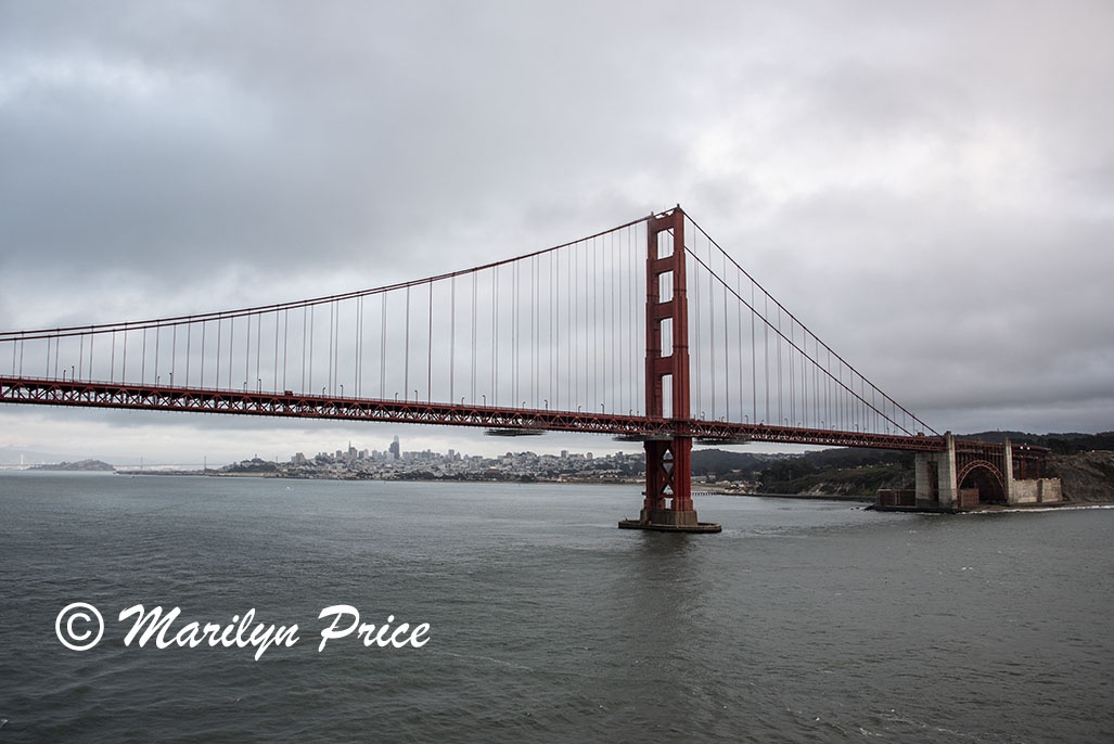 San Francisco under the Golden Gate Bridge as we leave, San Francisco, CA