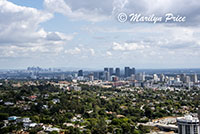 Skyline from Getty Museum, Los Angeles, CA