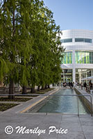 Water feature, Getty Museum, Los Angeles, CA