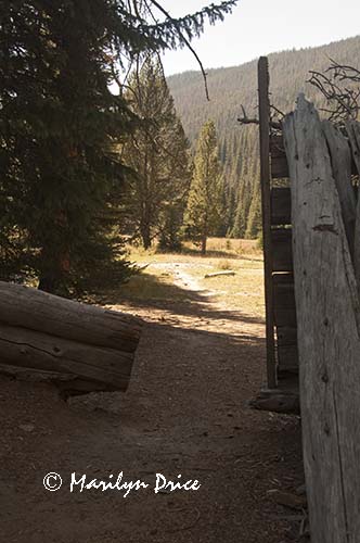 View from what remains of the Shipler cabin, Colorado River Trail, Rocky Mountain National Park, CO