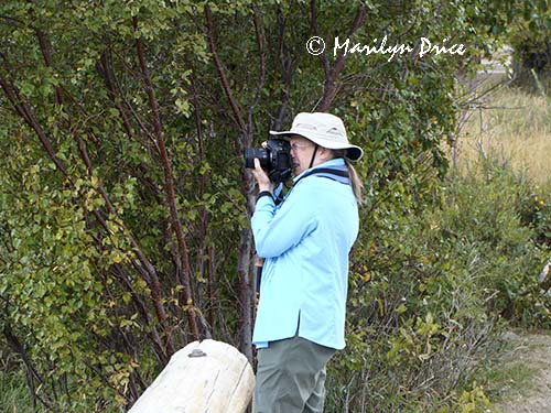 Marilyn lines up a shot, Cub Lake Trail, Rocky Mountain National Park, CO