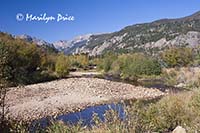 Big Thompson River near the Cub Lake Trail trailhead, Rocky Mountain National Park, CO