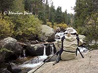 Lower Copeland Falls on St. Vrain Creek, Ouzel Falls Trail, Rocky Mountain National Park, CO