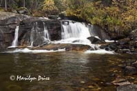 Lower Copeland Falls on St. Vrain Creek, Ouzel Falls Trail, Rocky Mountain National Park, CO